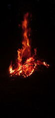 Fototapeta na wymiar bonfire 2