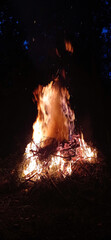 bonfire 1