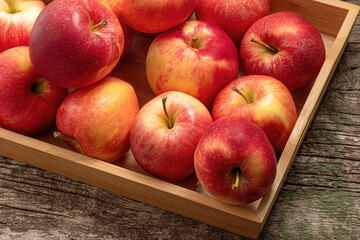 Ripe apple fruits from garden in wooden tray on wooden table background