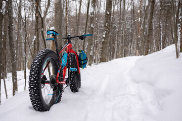 Fatbike trail with fat bike lying on a tree