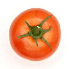 Ripe tomato on the white paper background. - 480367085