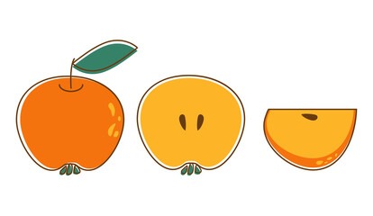 Vector illustration set of apples. Apple in flat style.