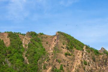 Jagged rocky ridge covered with sparse forest against a blue sky. Minimalistic atmospheric landscape with rocky mountain wall with pointy top in sunny light. Loose stone mountain slopes.