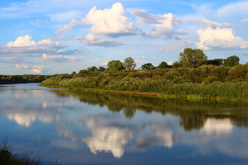 The river bank with clouds reflected in it on a summer day.