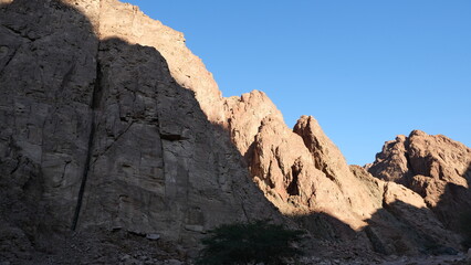 Fototapeta na wymiar Sinai mountains and oaisis