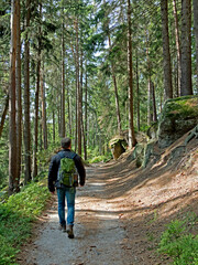 Ein Mann wandert alleine auf einem Waldweg in im Nationalpark Sächsische Schweiz, Elbsandsteingebirge