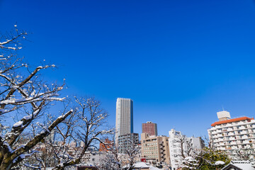 東京の街に降り積もった雪と綺麗な青空