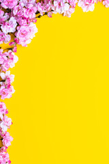 Spring flowers. Cherry blossom on a yellow paper background. Floral frame border. Template with copy space. Romantic pattern with place for text. Mockup, layout. Mother's day greeting card.