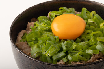 ねぎ玉牛丼