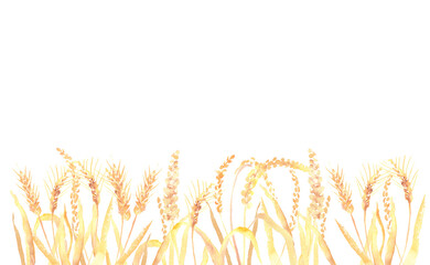 Fototapeta premium 水彩で描いた麦畑のイラスト