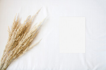 Mockup card with pampas grass on the beige background