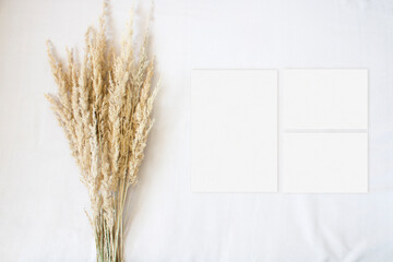 Wedding suite mockup pampas gras on the neutral background