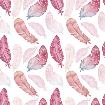 Watercolor seamless pattern from hand painted illustration of pink, blue, brown wild bird's feathers. Print on white background in boho style for design postcard, fabric textil, wedding invitation
