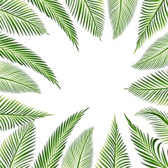 Beautiful decorative green palm leaf tropical background