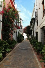 Fototapeta na wymiar Narrow street In Marbella old town