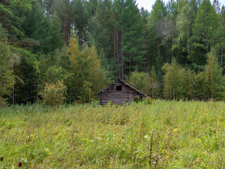 Old abandoned born on the edge of the forest in summer time. Wooden hut in the forest. Hunters House