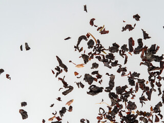 Dry tea leaves isolated on a white background.