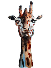 watercolor giraffe face close-up