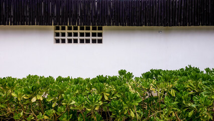 The white wall of the bungalow against the background of tropical greenery. Tropical landscape. The concept of rest and travel. Harmony of symmetry.