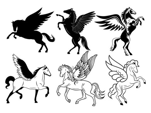 Pegasus Tattoo Images – Browse 4,105 Stock Photos, Vectors, and Video