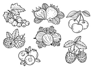 Set of various berries. Collection of field and bush berries blueberries, strawberries, circlet, etc. Healthly food. Fruits. Vitamins. Vector illustration on white background. - obrazy, fototapety, plakaty