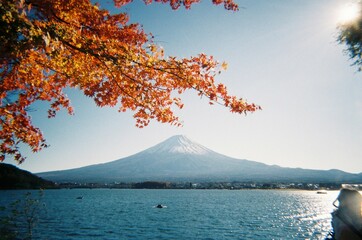 河口湖　紅葉　富士山