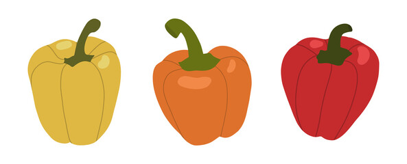 Set of bell peppers. Colorful vector illustration.