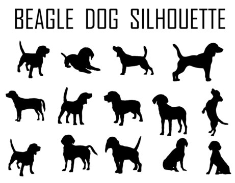 Beagle dog animal silhouette, Dog breeds silhouette, Animal silhouette symbol, Vector dog breeds silhouettes set 08