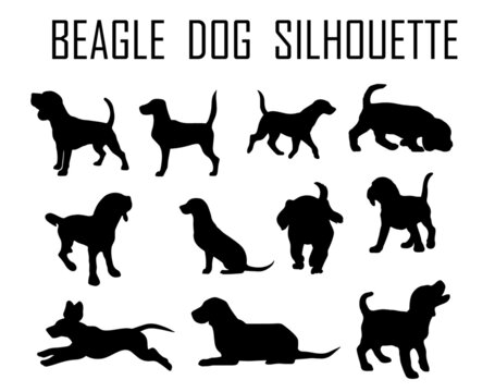 Beagle dog animal silhouette, Dog breeds silhouette, Animal silhouette symbol, Vector dog breeds silhouettes set 06