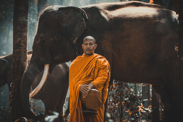 Cinematic representation of countryside culture of thailand. Thai monks and shepherds spending time in the jungle with their elephants - obrazy, fototapety, plakaty