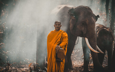 Cinematic representation of countryside culture of thailand. Thai monks and shepherds spending time...