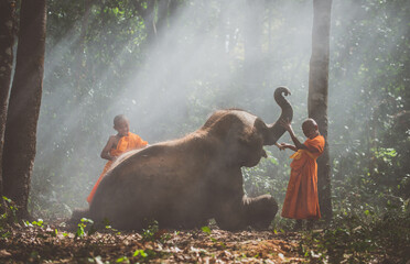 Cinematic representation of countryside culture of thailand. Thai monks and shepherds spending time...