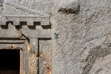 blue lizard basking in the sun sitting on the wall of a stone-cut tomb in Myra