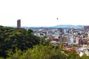 Obraz premium View of the roofs of the buildings of Alicante from the top of the Castillo Santa Barbara