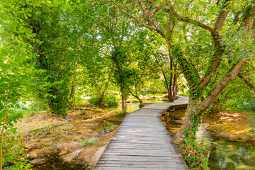 Magic wooden path in forest at Krka national nature park, Croatia. Path in forest near the lakes and waterfalls.
