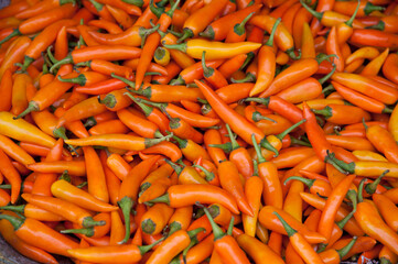 orange hot chili pile and texture at the market