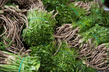green coriander pile in market, view from above