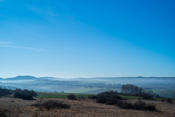 Obraz premium pfälzer landschaft im winter mit nebelschwaden