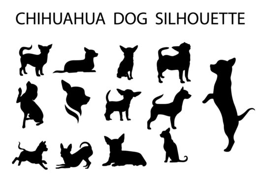 Chihuahua  dog animal silhouette, Dog breeds silhouette, Animal silhouette symbol, Vector dog breeds silhouettes set 09