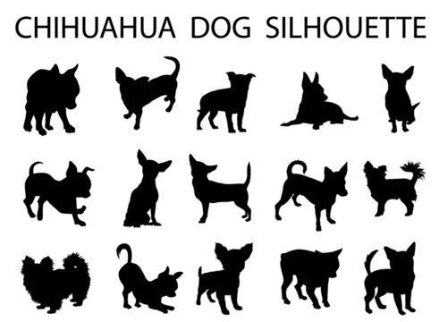 Chihuahua  dog animal silhouette, Dog breeds silhouette, Animal silhouette symbol, Vector dog breeds silhouettes set 08