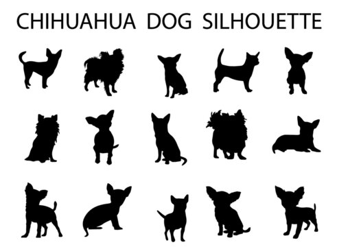 Chihuahua  dog animal silhouette, Dog breeds silhouette, Animal silhouette symbol, Vector dog breeds silhouettes set 07