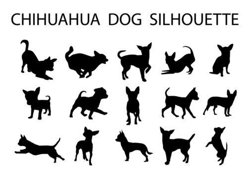 Chihuahua  dog animal silhouette, Dog breeds silhouette, Animal silhouette symbol, Vector dog breeds silhouettes set 06