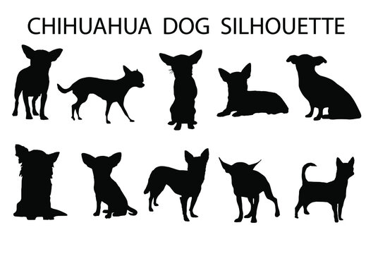 Chihuahua  dog animal silhouette, Dog breeds silhouette, Animal silhouette symbol, Vector dog breeds silhouettes set 04