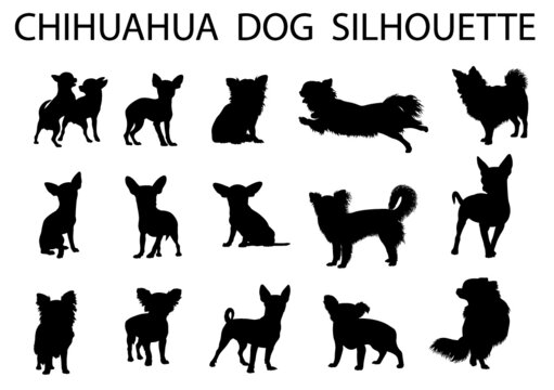 Chihuahua  dog animal silhouette, Dog breeds silhouette, Animal silhouette symbol, Vector dog breeds silhouettes set 02