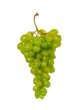 Fresh green ripe grapes isolated on white background.