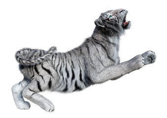 3D Rendering White Tiger on White