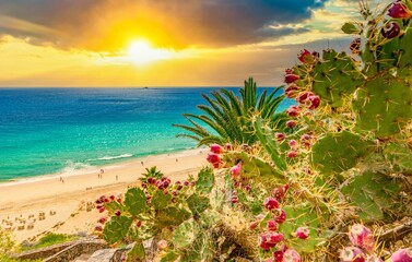 	
Strand von Esquinzo, Fuerteventura, kanarische Inseln, (Kanaren, Spanien)	
