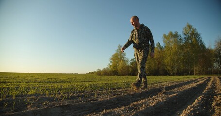 Farmer walks through a young green field during sunset. Adult man farmer walking and checks  his agriculture field. Worker walking on agriculture field.