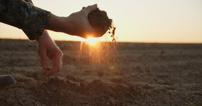 Farmer holding ground in hands closeup while sunset. Male hands touching soil on the field during sunset. Farmer is checking soil quality before sowing. Side view.