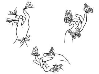 Set of hand holding insects. Collection of female hands with a butterfly, moth, dragonfly. Human hand with insect. Design for clothes. Vector illustration isolated on white background.